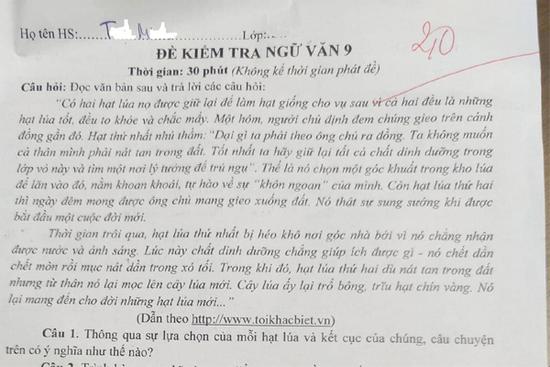 Con trai được 2 điểm, mẹ phản ứng khiến nhiều phụ huynh 'thức tỉnh'