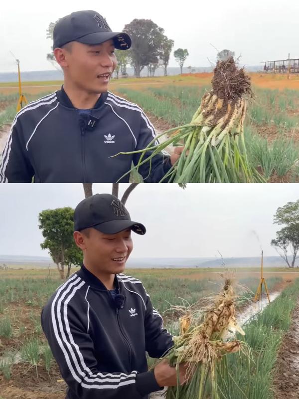 Quang Linh Vlog mở rộng kinh doanh sau khi tậu trang trại 4,3 tỷ-5