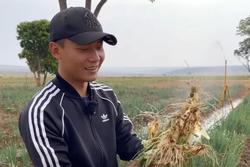 Quang Linh Vlog phấn khởi 'thu lãi to' sau khi tậu trang trại 4,3 tỷ