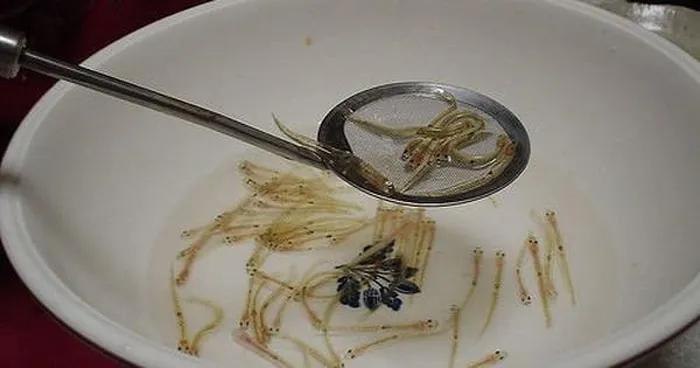 Món ăn tươi sống vẫn nhảy múa trong miệng thực khách-6