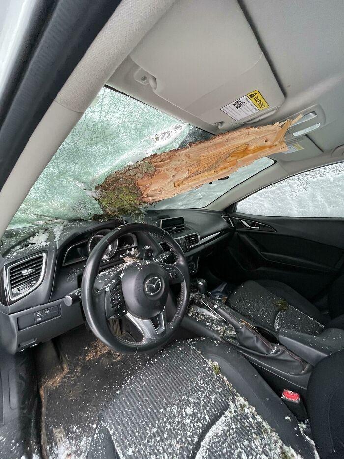 Loạt tình huống của đi thay người khiến ông bà gánh còng lưng-1