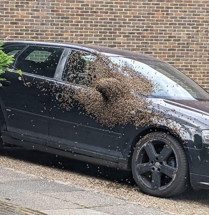 Loạt tình huống của đi thay người khiến ông bà gánh còng lưng-3