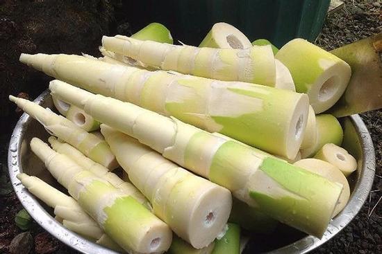 Các thực phẩm chứa chất độc, là 'sát thủ' thầm lặng trong nhà bếp