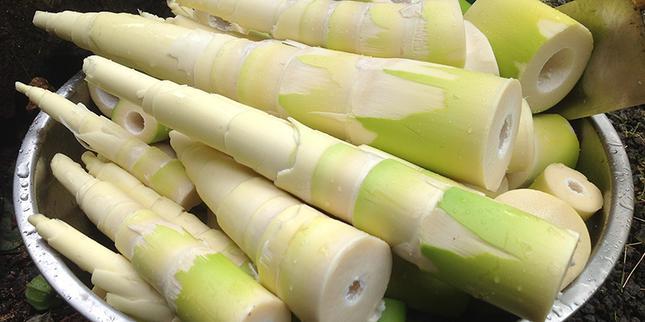 Các thực phẩm chứa chất độc, là sát thủ thầm lặng trong nhà bếp-1