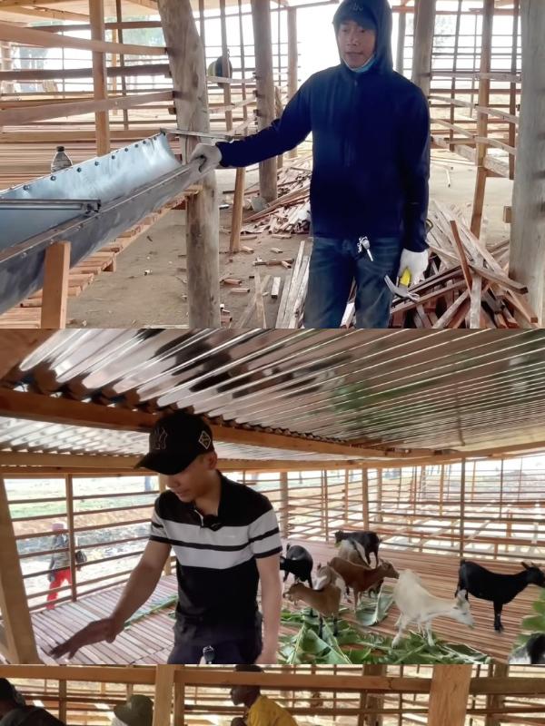 Quang Linh Vlog mở rộng kinh doanh sau khi tậu trang trại 4,3 tỷ-1
