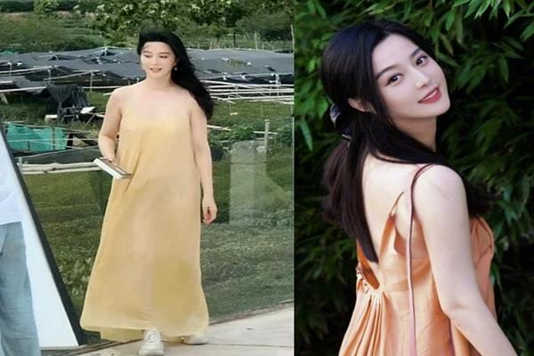 Tên của Phạm Băng Băng bất ngờ xuất hiện trong sách giáo khoa-2