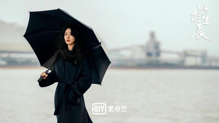 Dương Mịch nhìn Triệu Lệ Dĩnh đóng phim mà học tập-4