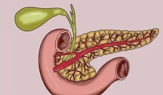 Máu biến thành màu trắng sữa do ăn lẩu quá nhiều-2