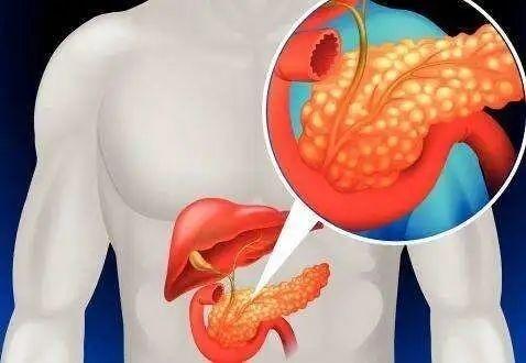 Máu biến thành màu trắng sữa do ăn lẩu quá nhiều-7