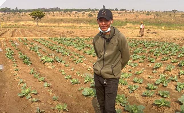 Quang Linh Vlog dùng tuyệt chiêu dạy Lôi Con-6