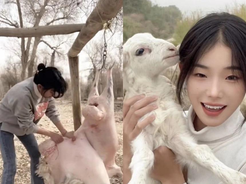 Cô gái trở thành sao mạng nhờ clip mổ thịt cừu-1