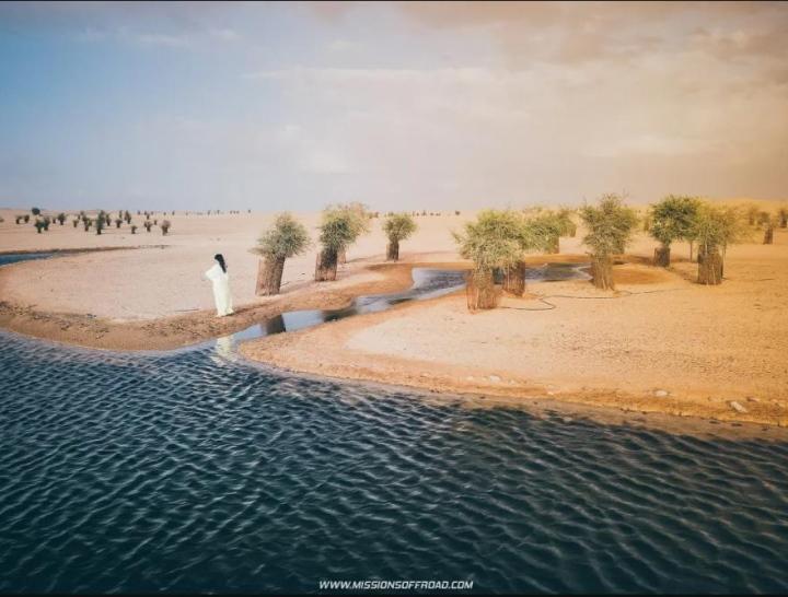 Vẻ ấn tượng của hồ nước hình trăng khuyết lọt giữa sa mạc cằn cỗi-4