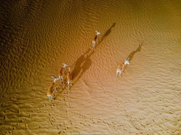 Vẻ ấn tượng của hồ nước hình trăng khuyết lọt giữa sa mạc cằn cỗi-5