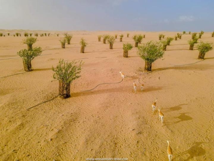 Vẻ ấn tượng của hồ nước hình trăng khuyết lọt giữa sa mạc cằn cỗi-6