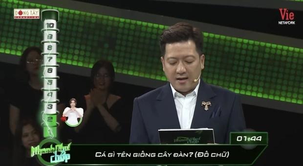 Câu đố Tiếng Việt: Cá gì tên giống cây đàn?-1