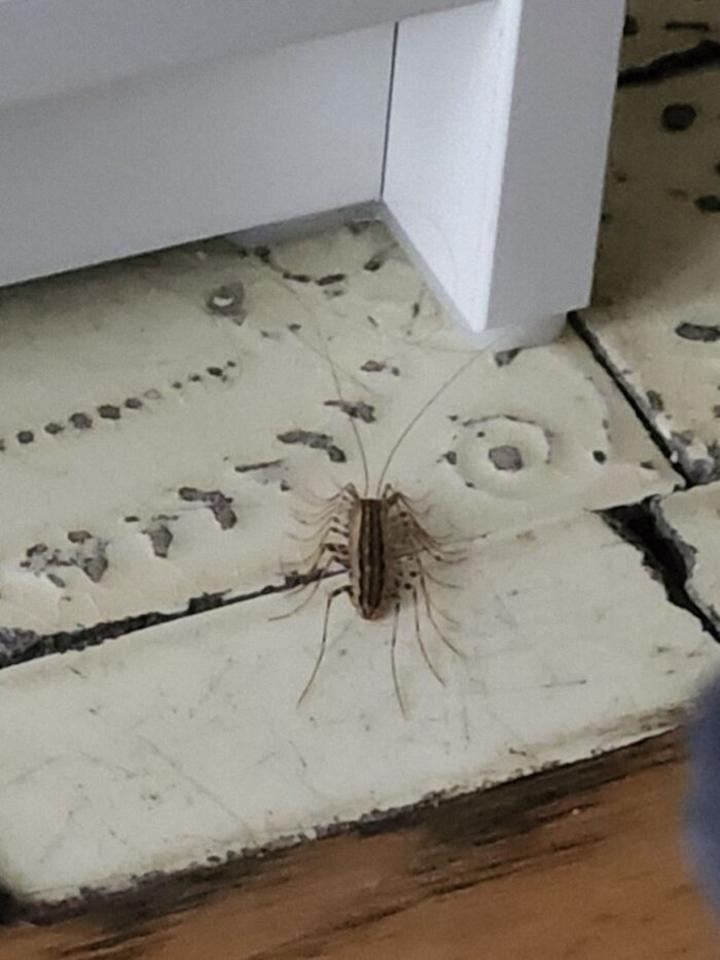 Những bức ảnh phát ra tiếng thét, nhìn thôi đã thấy bất lực-1