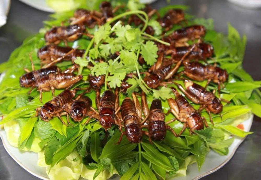Cá gỏi kiến vàng và dế chiên Kon Tum lọt Top 100 đặc sản của Việt Nam-2