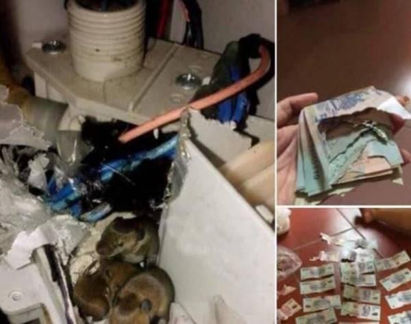 Lén giấu quỹ đen sau lưng vợ, anh chồng tá hỏa vì sự cố không ngờ-1