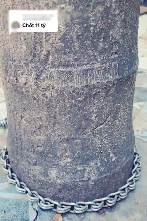 Xôn xao cau đột biến thân mọc hoa lan, đại gia chốt giá 17 tỷ đồng-3