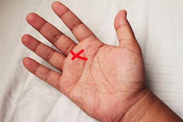 6 đường chỉ tay hiếm có khó tìm: 4 đường phú quý, 2 đường lụi bại-2
