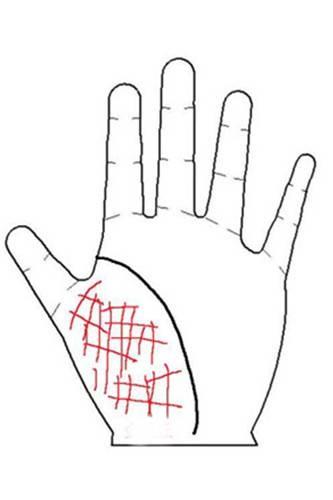 6 đường chỉ tay hiếm có khó tìm: 4 đường phú quý, 2 đường lụi bại-6