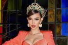Hoa hậu Thùy Tiên: 'T.T bán dâm không phải là tôi'