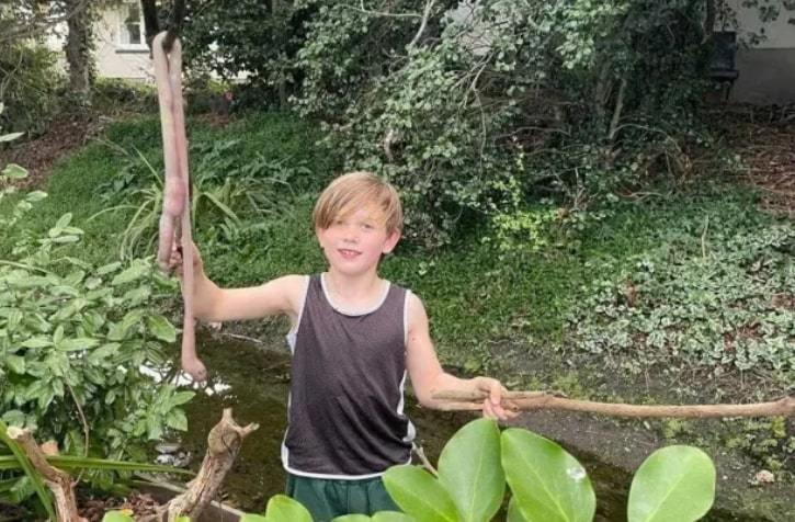 Sinh vật dài gần 1 mét, 3 chân quái dị nằm chình ình trong sân nhà-1