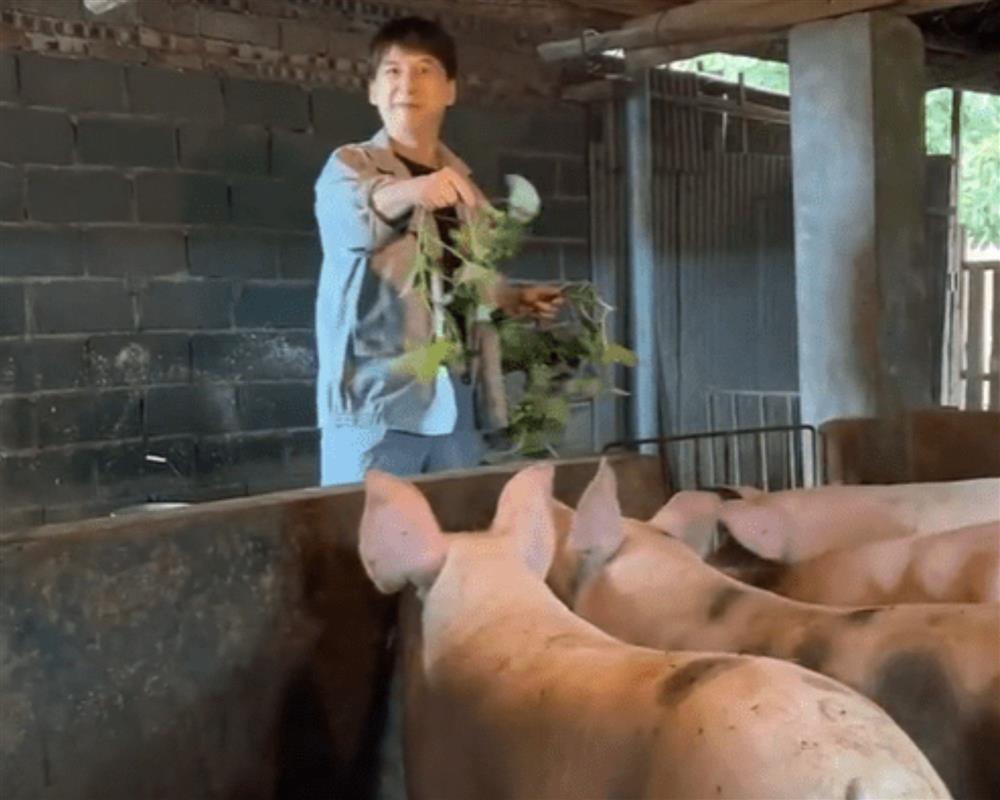 Phiên bản Tôn Ngộ Không xấu nhất màn ảnh-3