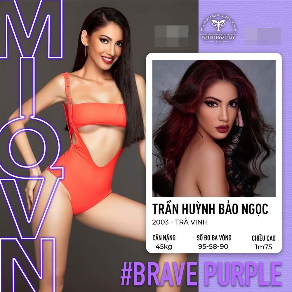 Thí sinh Hoa hậu Chuyển giới Việt Nam ăn cắp ảnh Ngọc Thảo-1