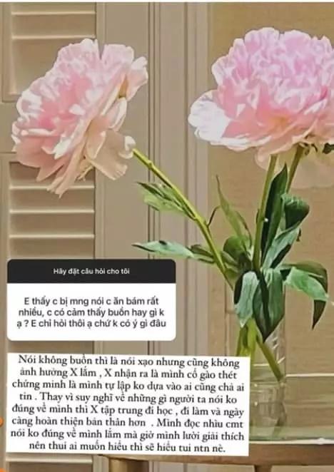 Xoài Non bị mắng không biết đẻ con cho chồng thiếu gia-6