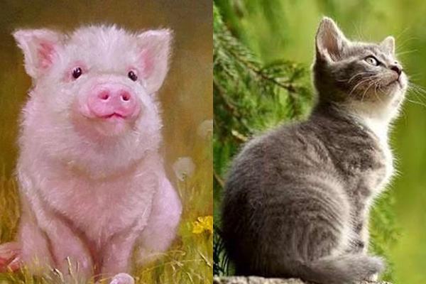 Đầu giường dựa vào 2 vách này gia đình không ốm đau cũng hoạn nạn-6