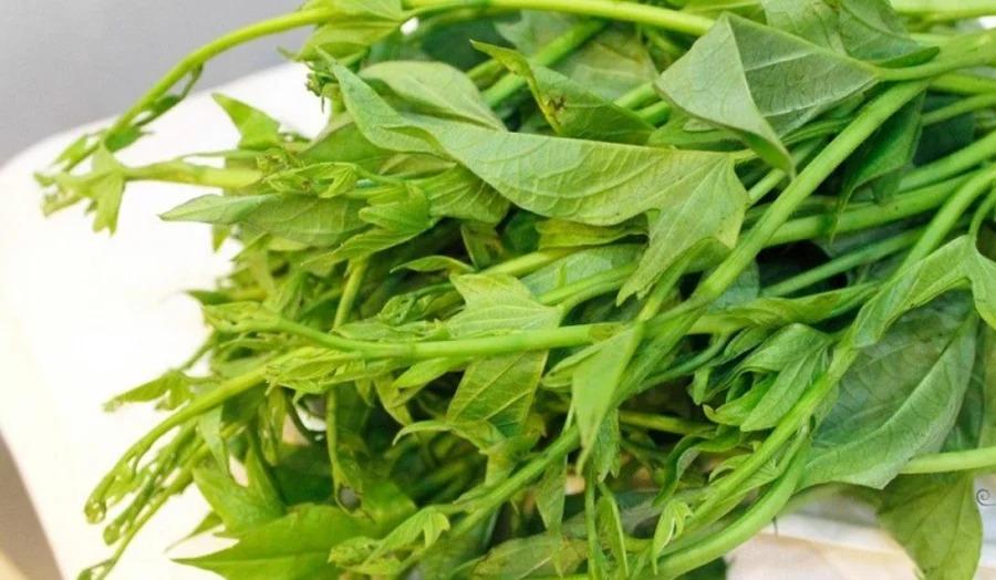 Món ăn trường thọ bổ ngang sâm: Việt Nam có bán giá rẻ bèo-1