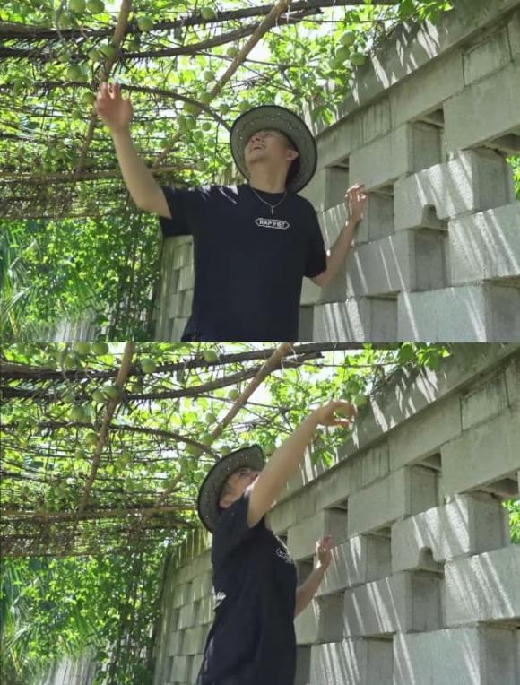 Cận cảnh ngõ ngách nhà vườn đắt giá của Trường Giang - Nhã Phương-8