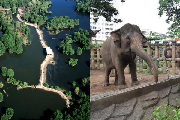 Trải nghiệm tàu xác sống ở Jakarta-1