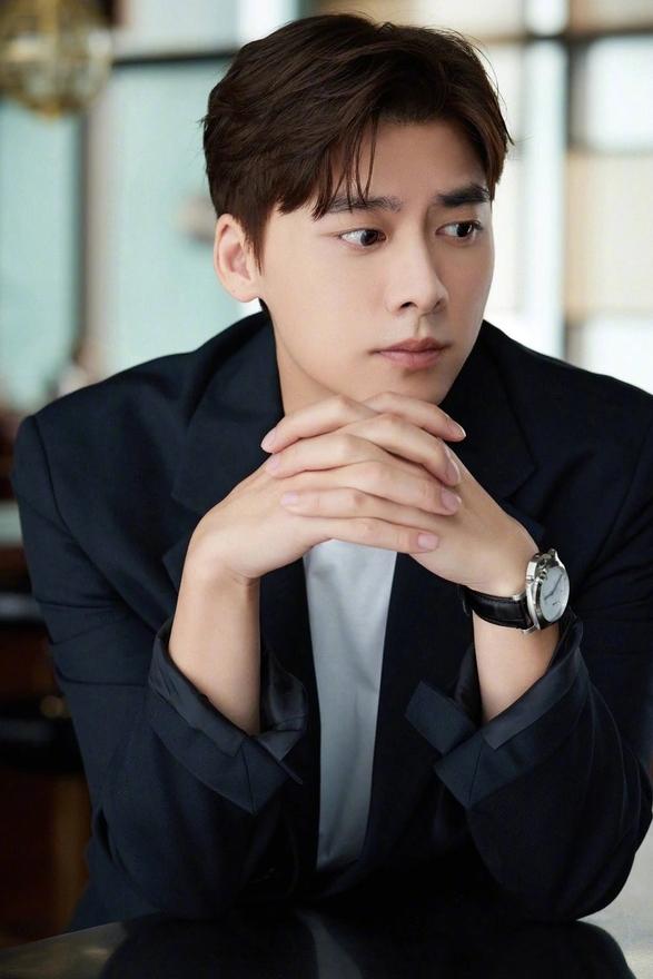 Trước khi bị bắt vì mua dâm, Lý Dịch Phong đóng phim nào flop phim đó-1