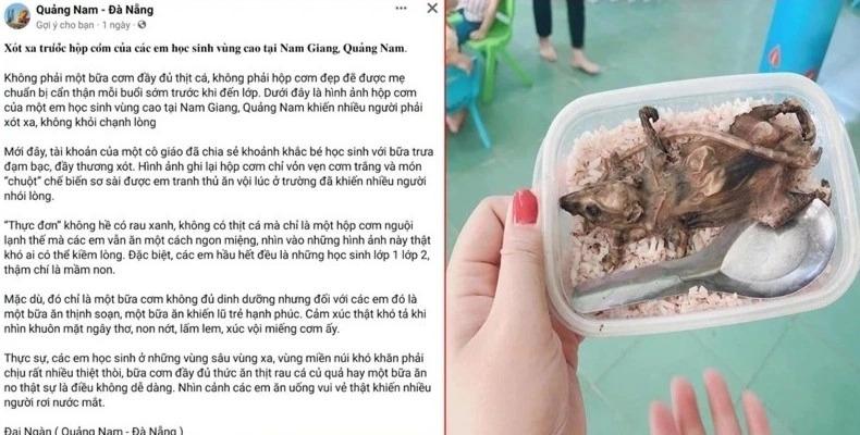Xác minh hình ảnh bữa ăn cơm trắng, thịt chuột của trẻ ở Quảng Nam-1