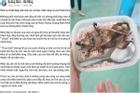 Xác minh hình ảnh bữa ăn cơm trắng, thịt chuột của trẻ ở Quảng Nam