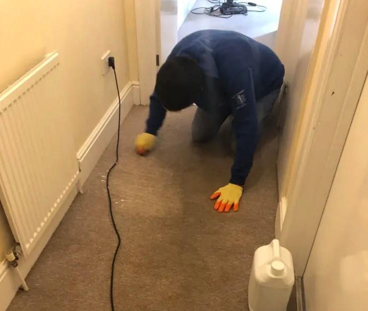 Công việc đáng sợ nhất thế giới: Dọn dẹp hiện trường vụ án-3