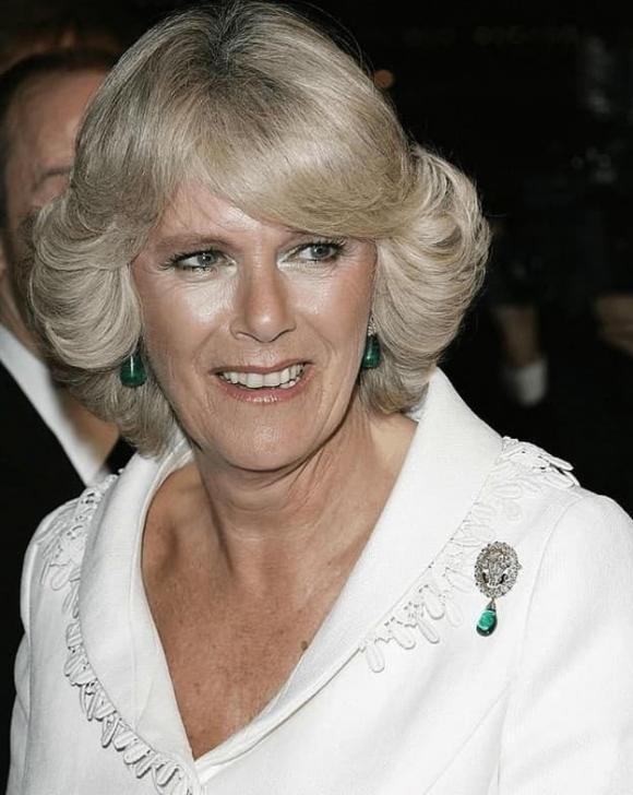 Vòng cổ của Công nương Diana bị bà Camilla sửa thành ghim cài áo-3