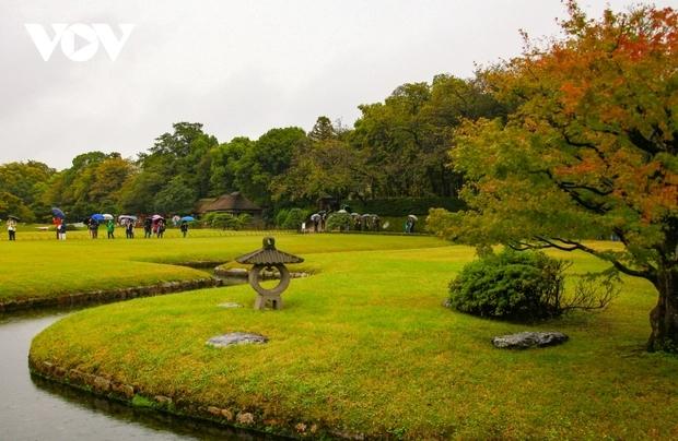 Nhật Bản chuẩn bị đón khách cho mùa lá vàng lá đỏ-1