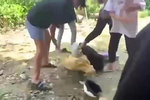 Hai nữ sinh ở Đồng Nai bị đánh hội đồng, lột đồ giữa đường-1
