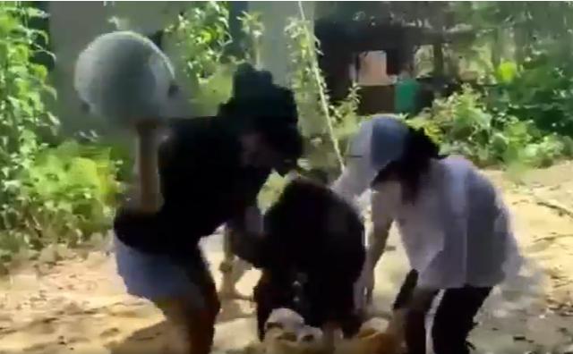 Hai nữ sinh ở Đồng Nai bị đánh hội đồng, lột đồ giữa đường-2