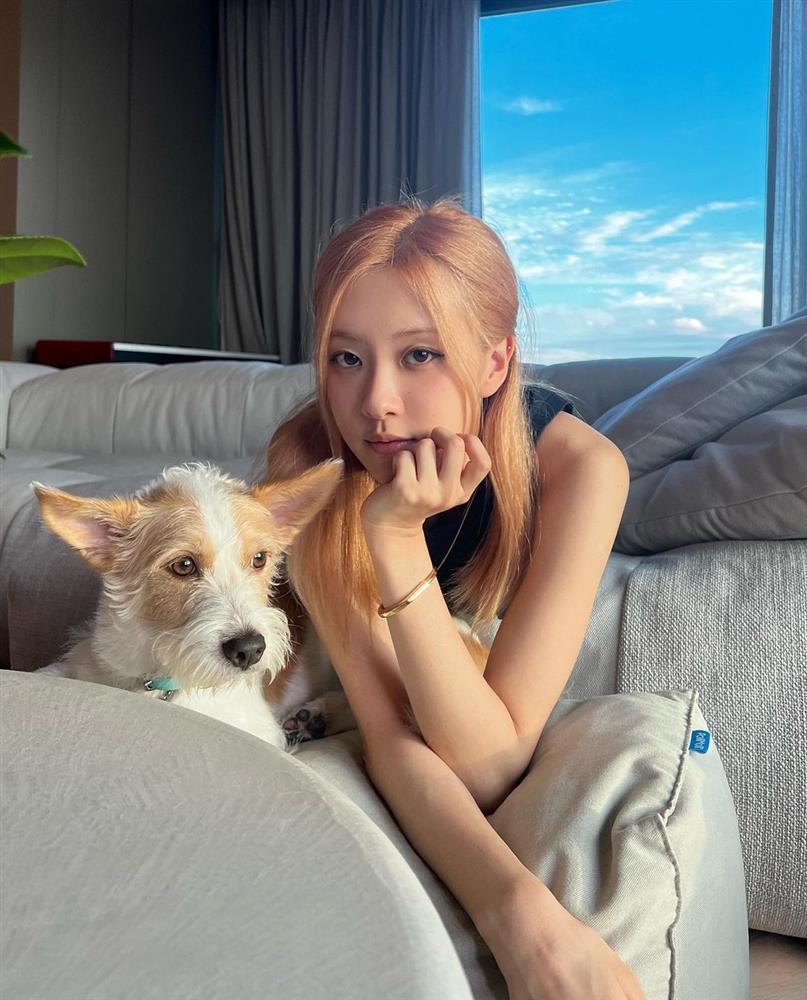 Rosé (BLACKPINK) đang sống ở penthouse giá 160 tỷ đồng?-2