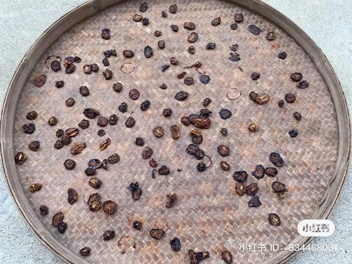 Thử làm kiwi sấy theo kiểu không giống ai, cô gái dở khóc dở cười-2