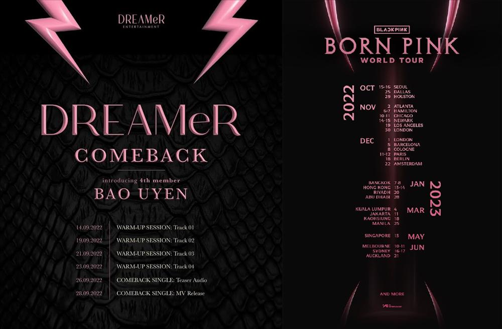 Fan quốc tế yêu cầu YG kiện nhóm nhạc của Phí Phương Anh-2