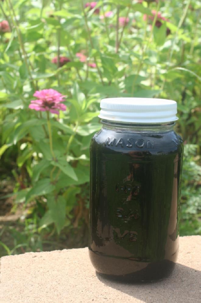 Phát hiện mật ong màu tím kỳ lạ được tìm thấy trong tự nhiên bí ẩn-5