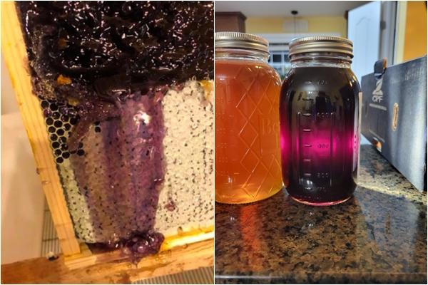 Số phận viên dạ minh châu nặng 6 tấn lớn nhất thế giới được tìm thấy cách đây gần 20 năm hiện ra sao?-6