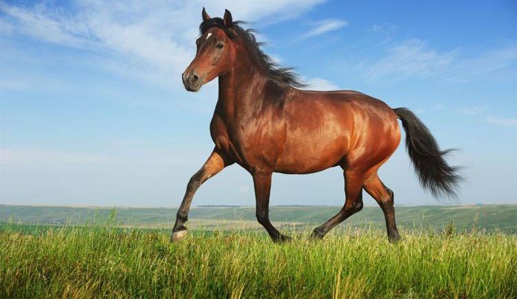 4 con giáp rũ bùn ngời sáng: Tháng 10 trúng số, tháng 11 đổi đời-1