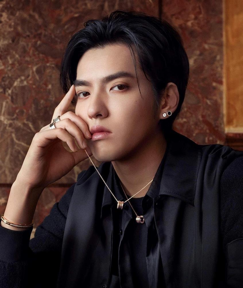 Scandal sex bủa vây và ám ảnh độc hại của sao nam Trung Quốc-3