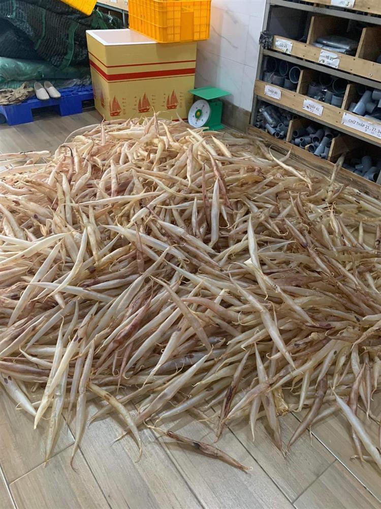 Bộ phận trong con cá ai cũng vứt đi, giá lên cả tỷ đồng/kg-1